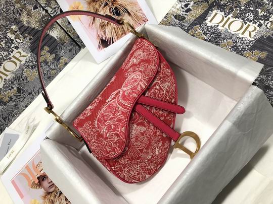 Dior Saddle